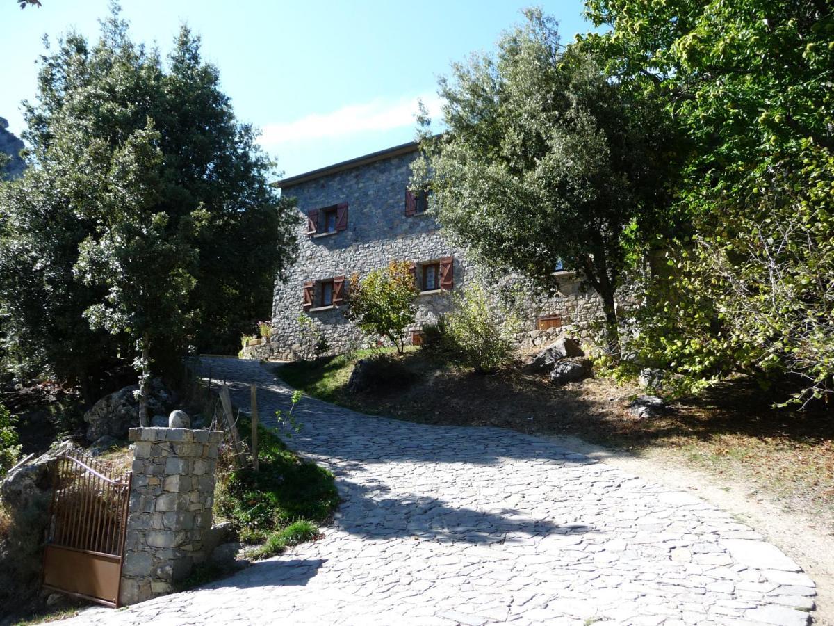 Chambre D'Hote "Chez Antoinette Et Charles" Santo-Pietro-di-Venaco Dış mekan fotoğraf